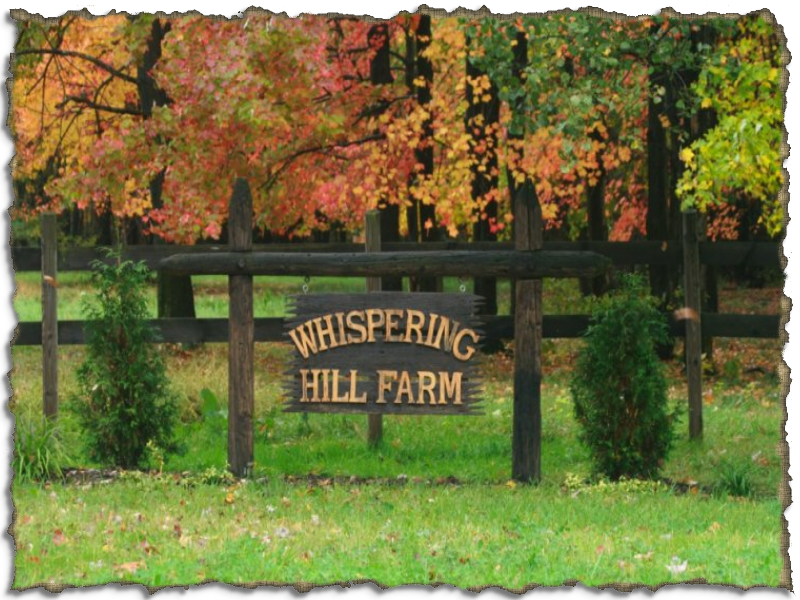 Whispering Hill Farm